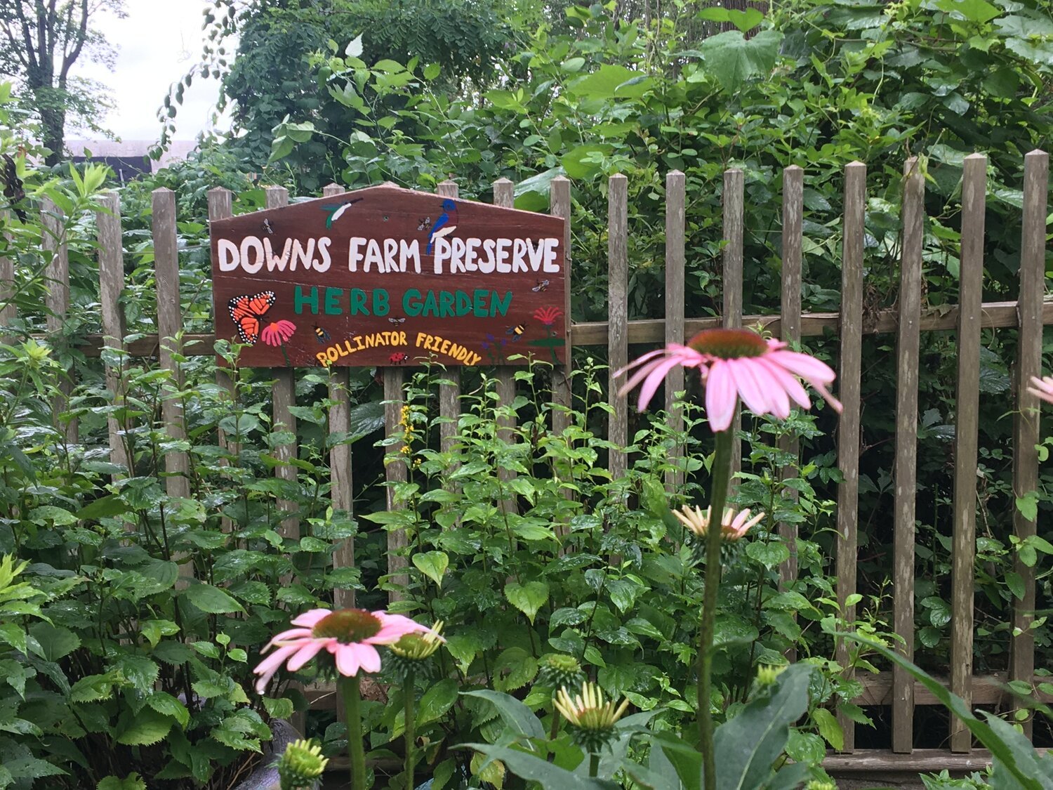 Family Nature Walk at Downs Farm Preserve (Cutchogue)