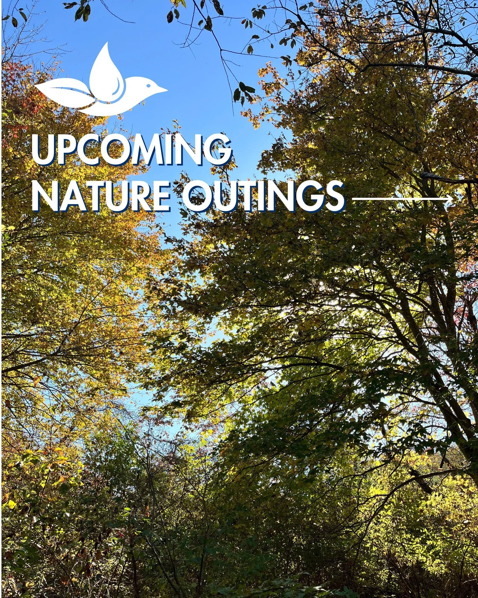 Get outside with the Group in November!

🦊 Leaf Litter Craft Workshop &mdash; Saturday, November 1
🌿 Great Pond Cleanup @kenneys_mccabesbeachcivic &mdash; Saturday, November 1
🌊 Horseshoe Crab Talk @shelterislandlibrary &mdash; Friday, November 7
