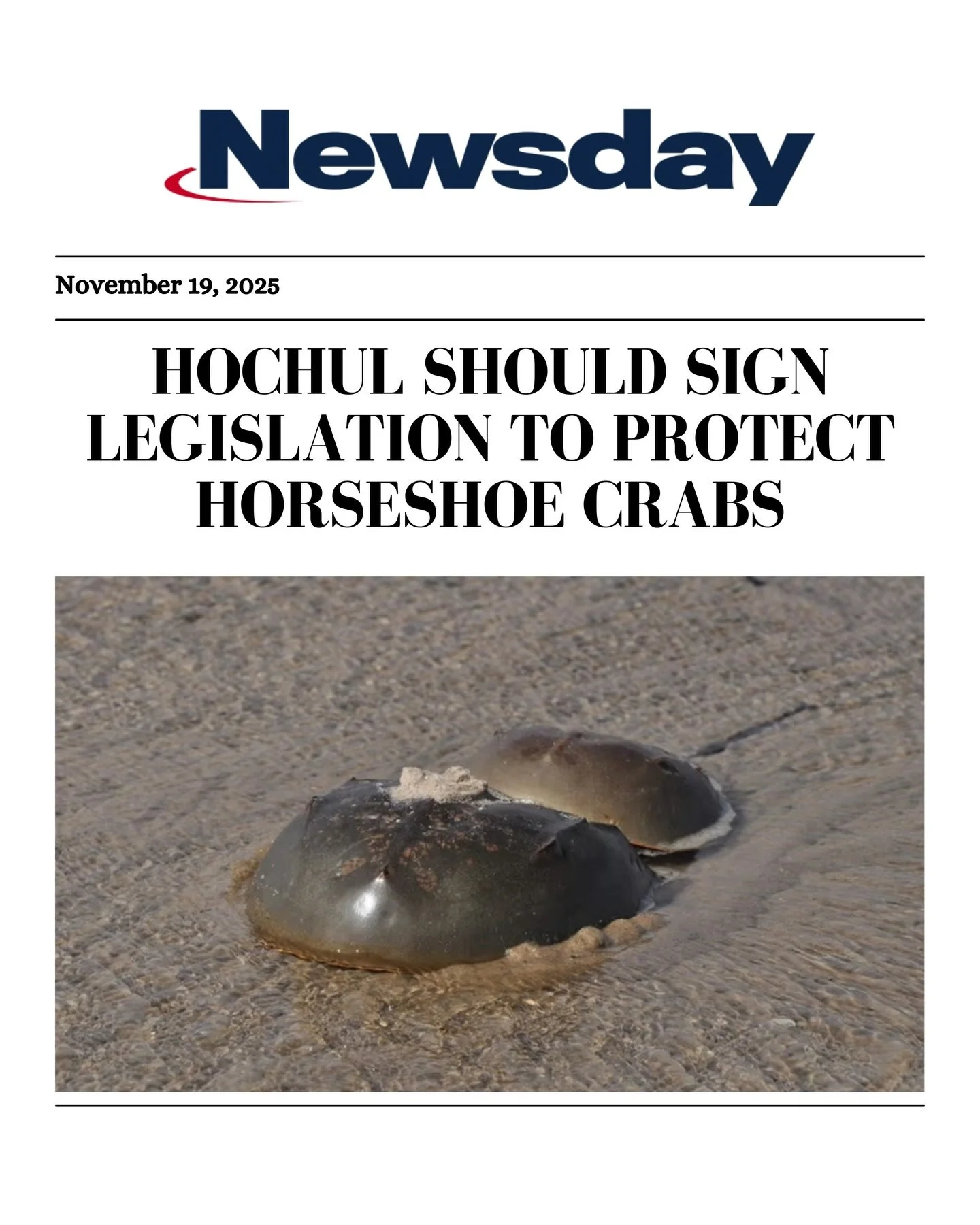 Dr. Jane Goodall wrote a letter last year to Governor Kathy Hochul urging her to save the horseshoe crabs, citing &ldquo;a shared responsibility for the natural world.&rdquo;

On behalf of New York, Governor Hochul has the opportunity to honor the la