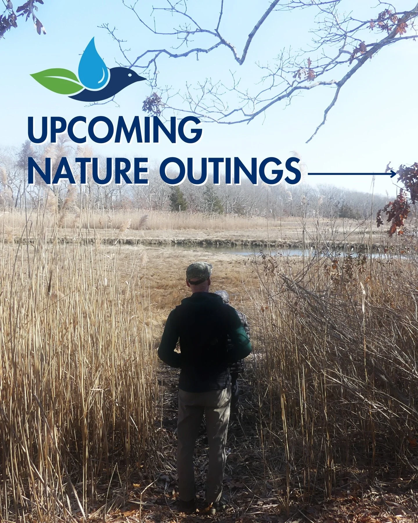 Bundle up and get outside with the Group in December!

🥾 Cranberry Bog Preserve Walk with @tonitovalderrama &mdash; Saturday, December 13
🪶 Nature Scavenger Hunt &mdash; Sunday, December 14
❄️ Early Winter Solstice Walk &mdash; Friday, December 19
