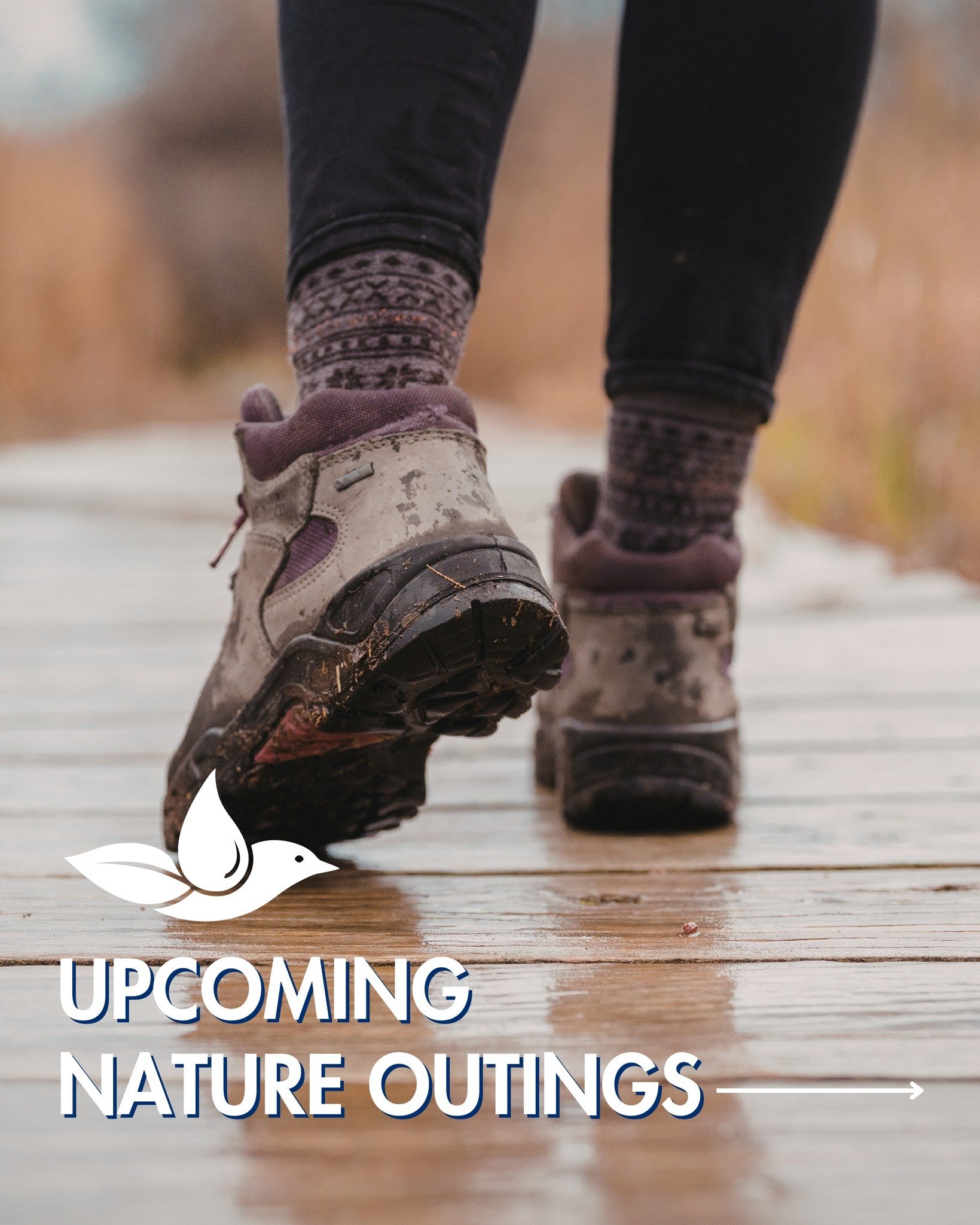 Get outside with the Group in March!

🪶 Walking Stick Workshop with @tonitovalderrama &mdash; Friday, March 13
🥾 Pond Cleanup with @kenneys_mccabesbeachcivic &amp; Southold Town &mdash; Saturday, March 14
🐦 First-Time Birder's Hour &mdash; Saturda