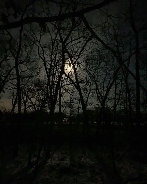 ✨ Winter is a wonderful time to explore the night sky. We can see more stars in dark skies and more creatures in bare trees. It is a magical, peaceful time of year.

You can instill a sense of wonder and appreciation for nature in your children by bu