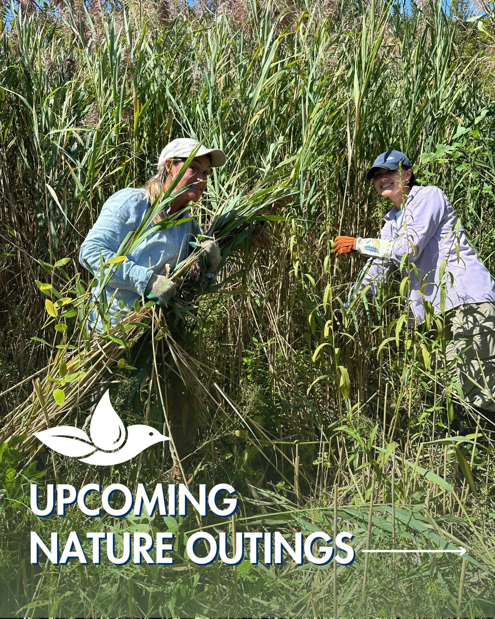 Get outside with the Group in April!

🎋 Beach Grass Planting with North Haven Point Homeowners Association &amp; Genet Creek Association &mdash; Saturday, April 4
🥾 Trail Cleanup &mdash; Saturday, April 11 &amp; 25
🦉 Clay Creature Maracas Workshop