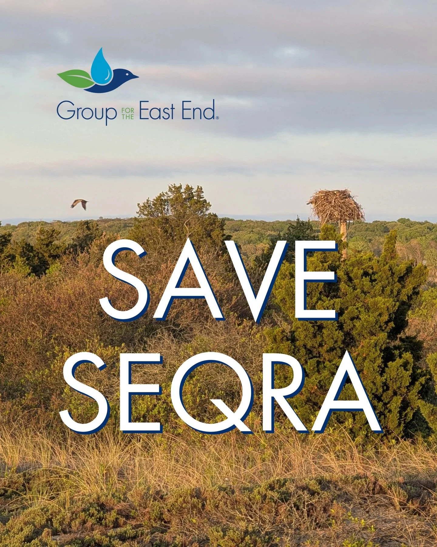 🚨 Tell @govkathyhochul you oppose the proposed amendments to the State Environmental Quality Review Act (SEQRA)! Find a letter at thegroupactionalerts.org. 🚨

Swipe for what you need to know, and share with friends and family.

#NewYorkState #Envir