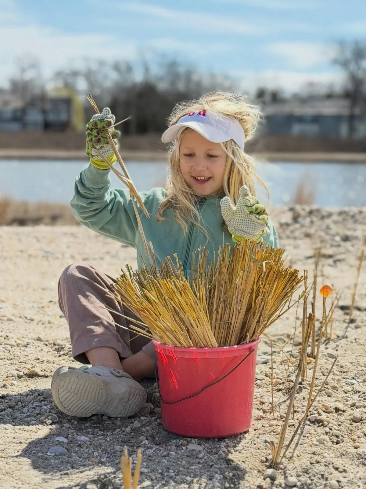 What a successful beach grass planting in Sag Harbor this past weekend with North Haven Point Homeowners Association and Genet Creek Association!

Beach grass plantings help stabilize dunes, prevent erosion, and support wildlife habitats.

Join us fo