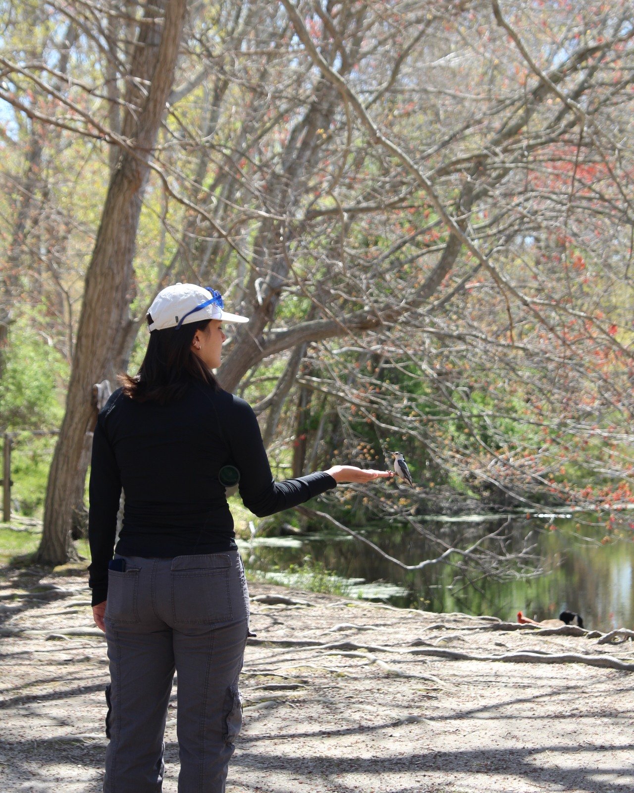 Location scouting for some spring field trips! 

Elizabeth A. Morton National Wildlife Refuge in Sag Harbor is one of our favorite places to bring East End students to explore trails while learning about birds and other wildlife, diverse plant specie