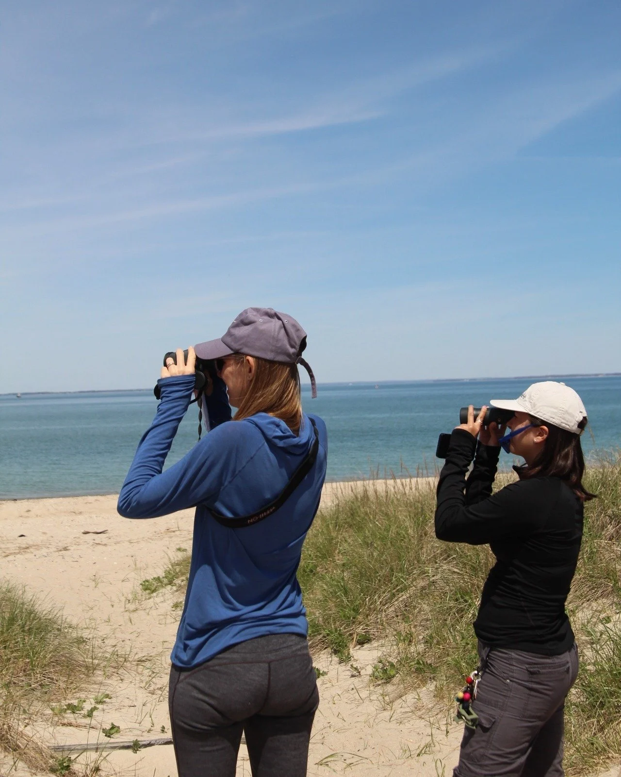 Before we can bring students out to explore the beach on one of our many spring field trips, we like to explore the beach ourselves!

Maidstone Beach in East Hampton is a favorite for beachcombing, studying the plants of the beaches, dunes and near-s