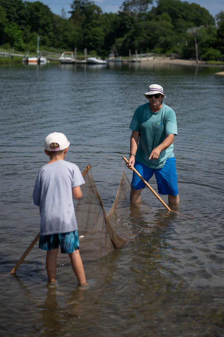East End Seaport Museum: Estuary Invertebrates