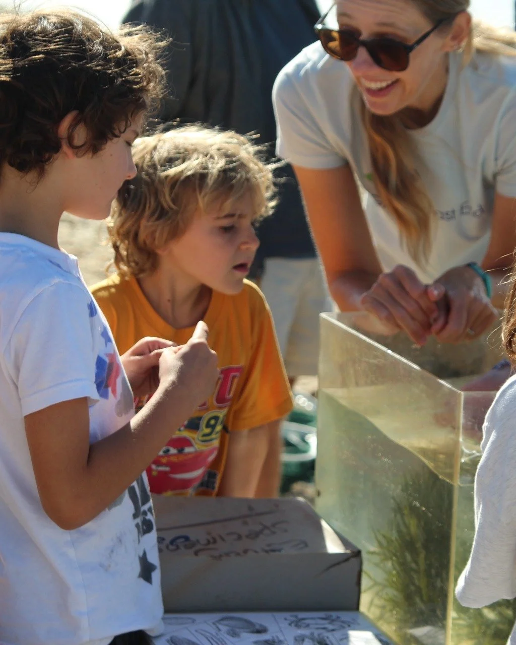 Earlier this month we joined friends and family on the beach in North Haven for a bay exploration with the Village of North Haven!

We got up close with live scallops, pipefish, a variety of crabs, and so much more. We also talked about the importanc