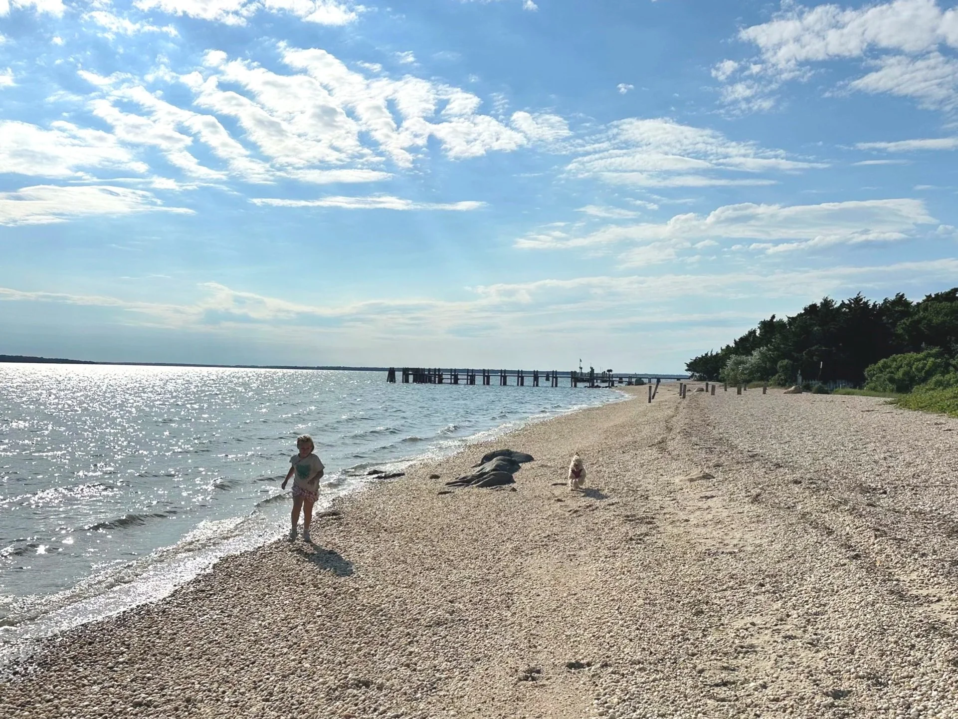 child running on the shoreline followed by a dog on a North Haven beach