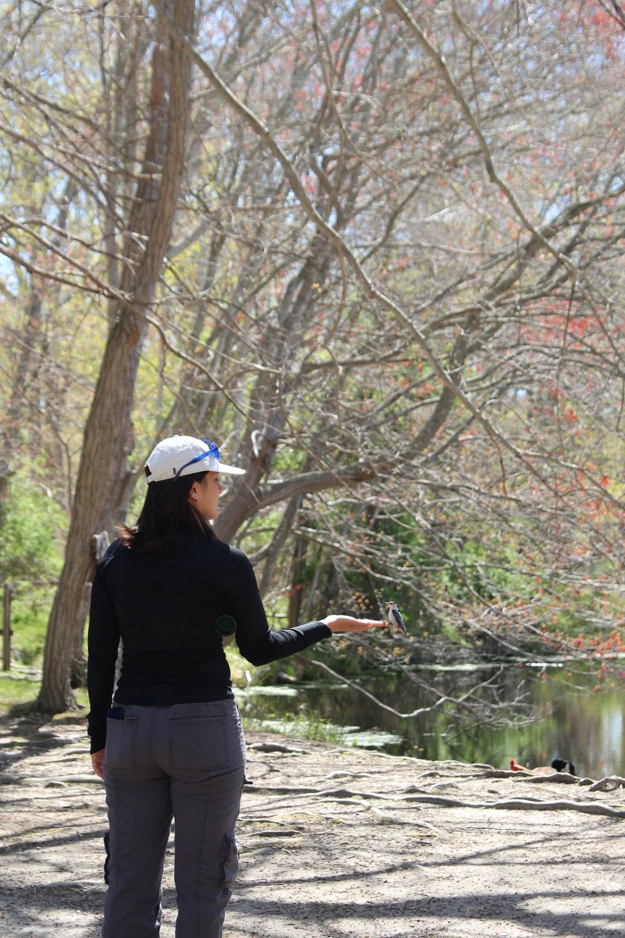 Woman holding a small bird in her hand at Morton Wildlife Refuge