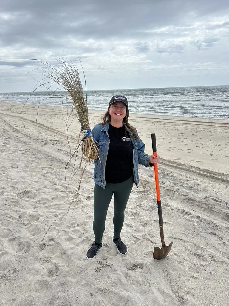 Beach Grass Planting