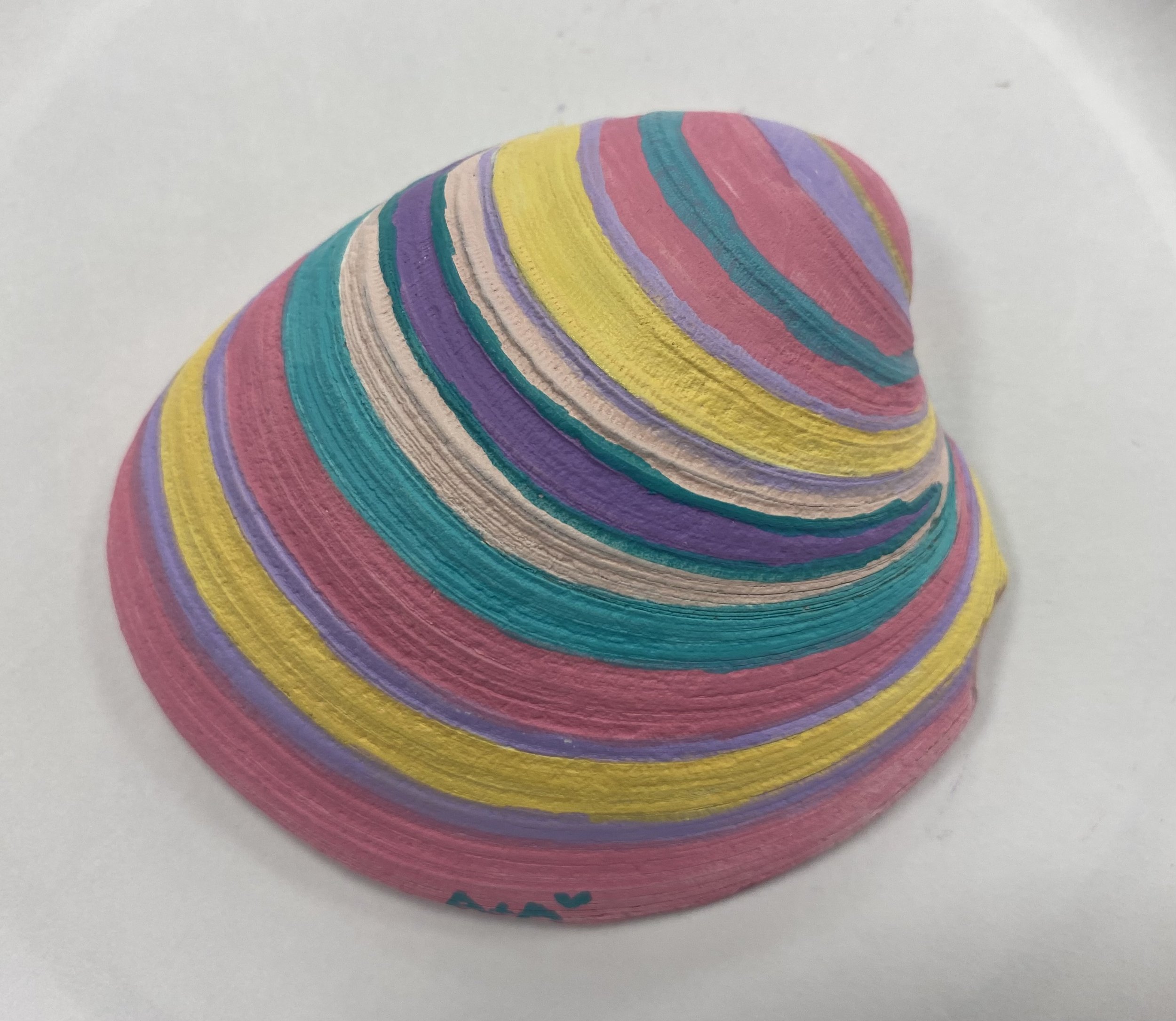 painted native seashell.jpeg