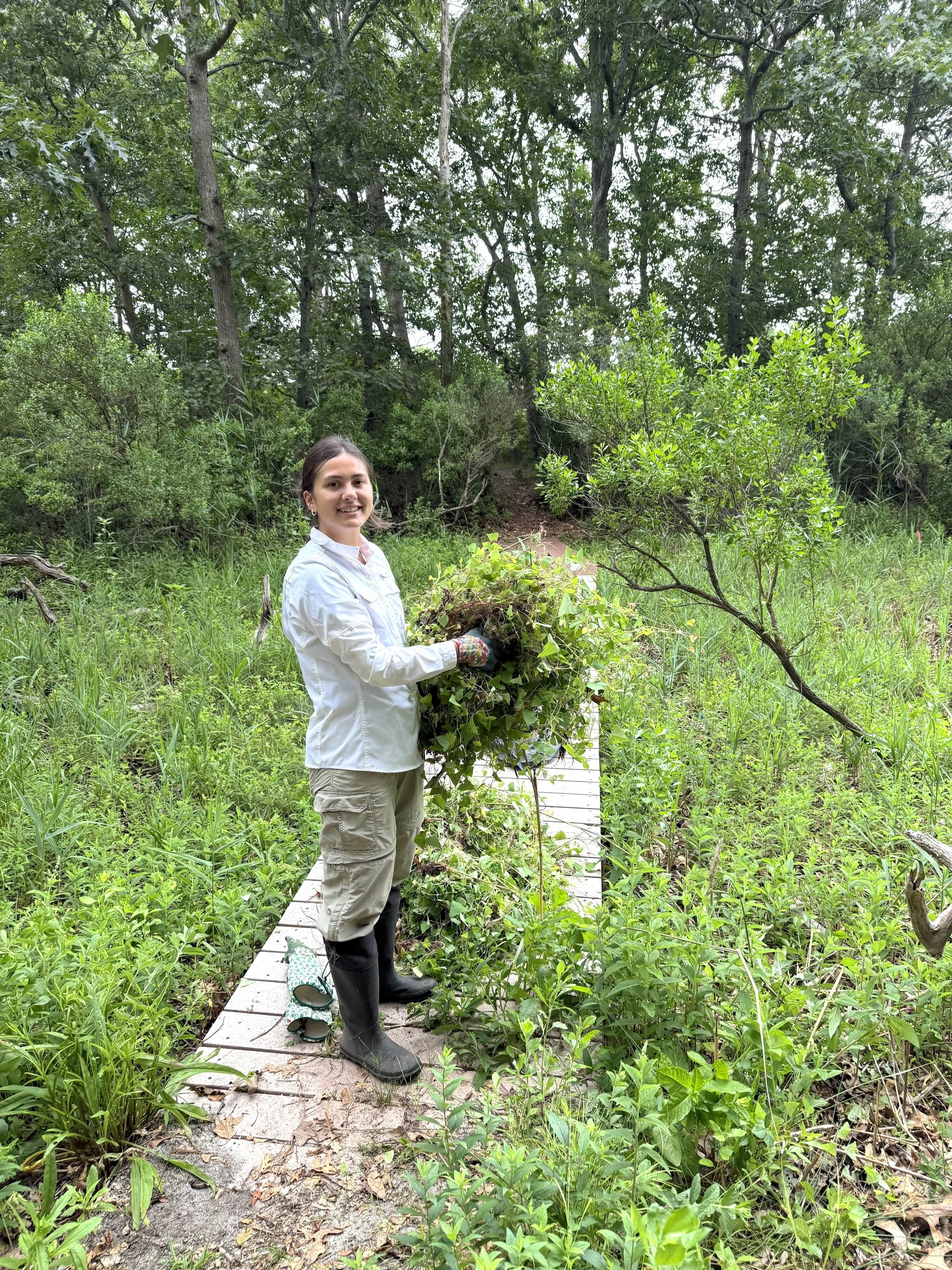 Nature Preserve Volunteer Day (Cutchogue)
