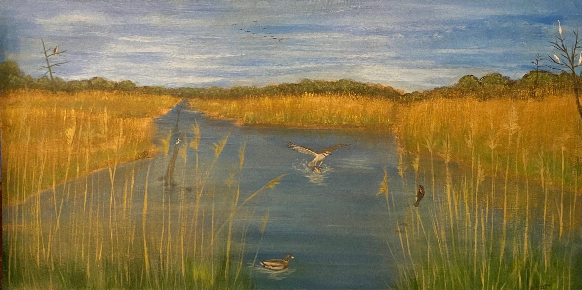Nature Watercolor Class (Cutchogue)