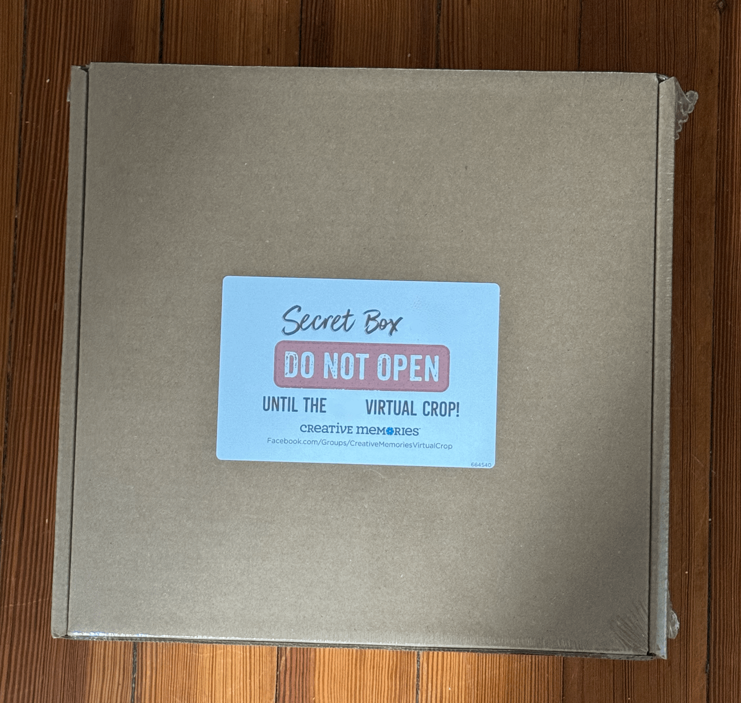 The Beyond the Box: 2026 Video Insider Pass