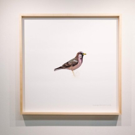 Adrian-Gollner_Average-Bird_2018_Central-Art-Garage.jpeg