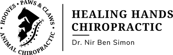 Healing Hands Chiropractic Logo