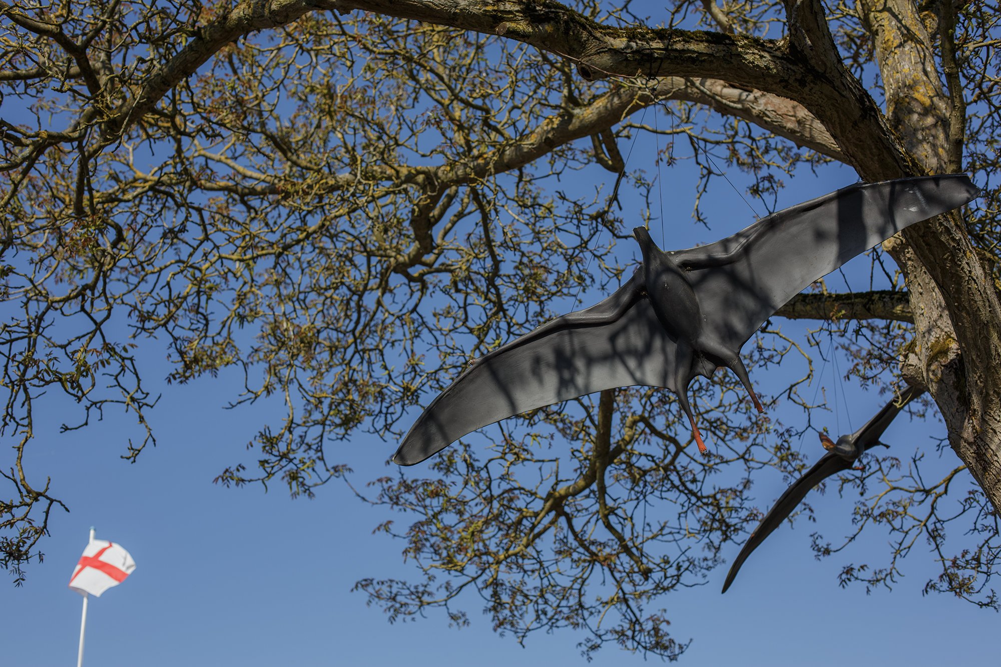 GHP_016.jpg