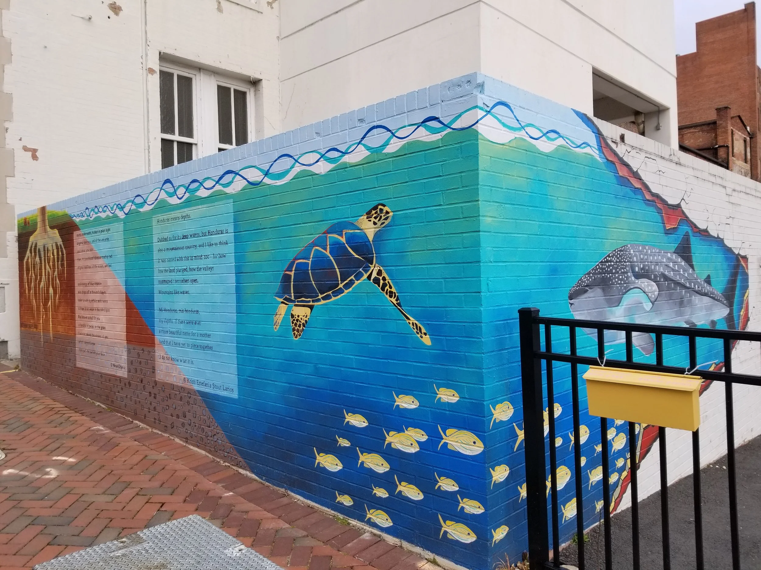 Copy of 20210206_162426.jpg