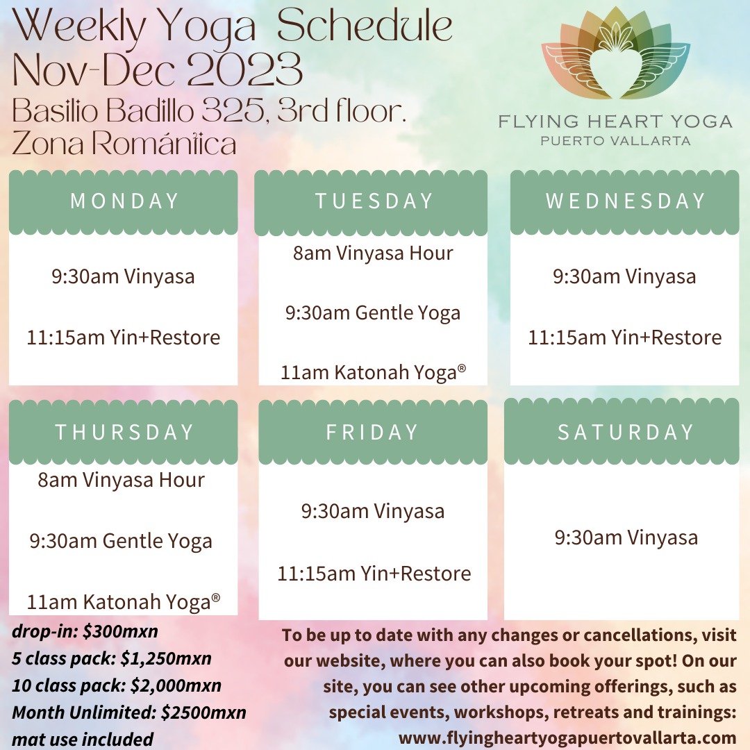 14-day Beginner level yoga, Oct 30-Nov 12 2023