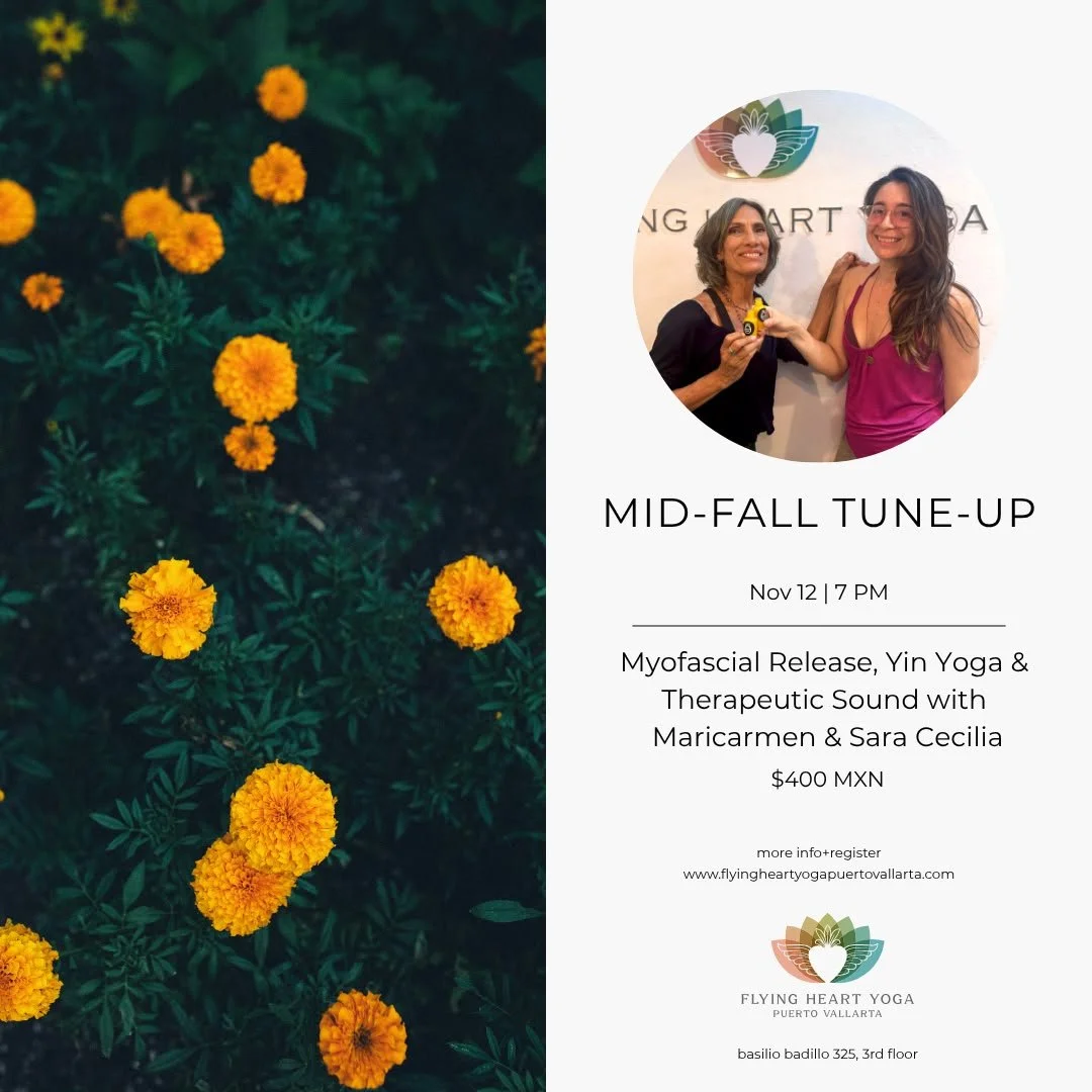 Mid fall tuneup yoga workshop