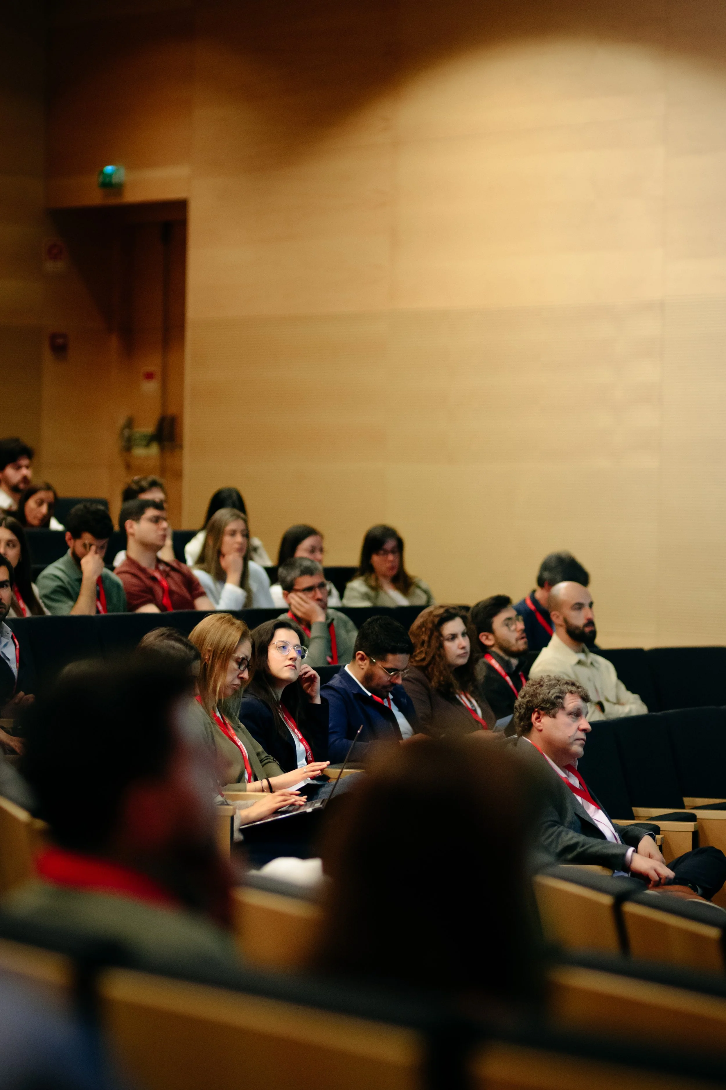 SR708397.jpg
