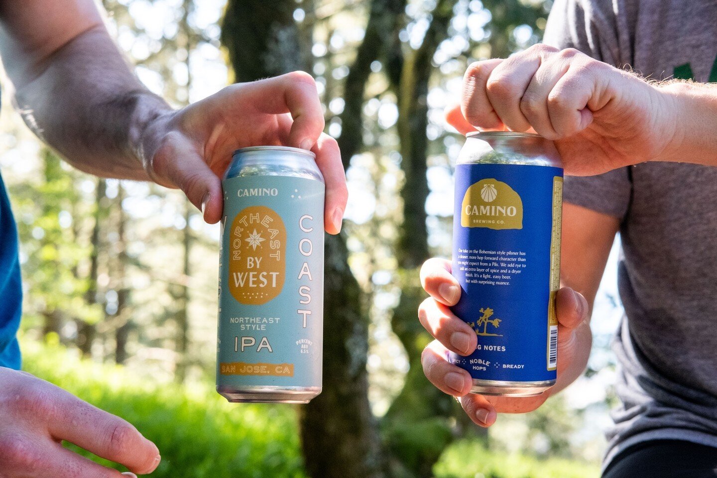 Wish you could hear this photo. 🍺🌲🥾 Cans available to go from the taproom, for local delivery, shipped to your door or in select stores. Link/bio for more info.	⁠
.⁠
.⁠
.⁠
#CaminoBrewing #coldone #trailbeers #marincounty #visitmarin #muirwoods #di