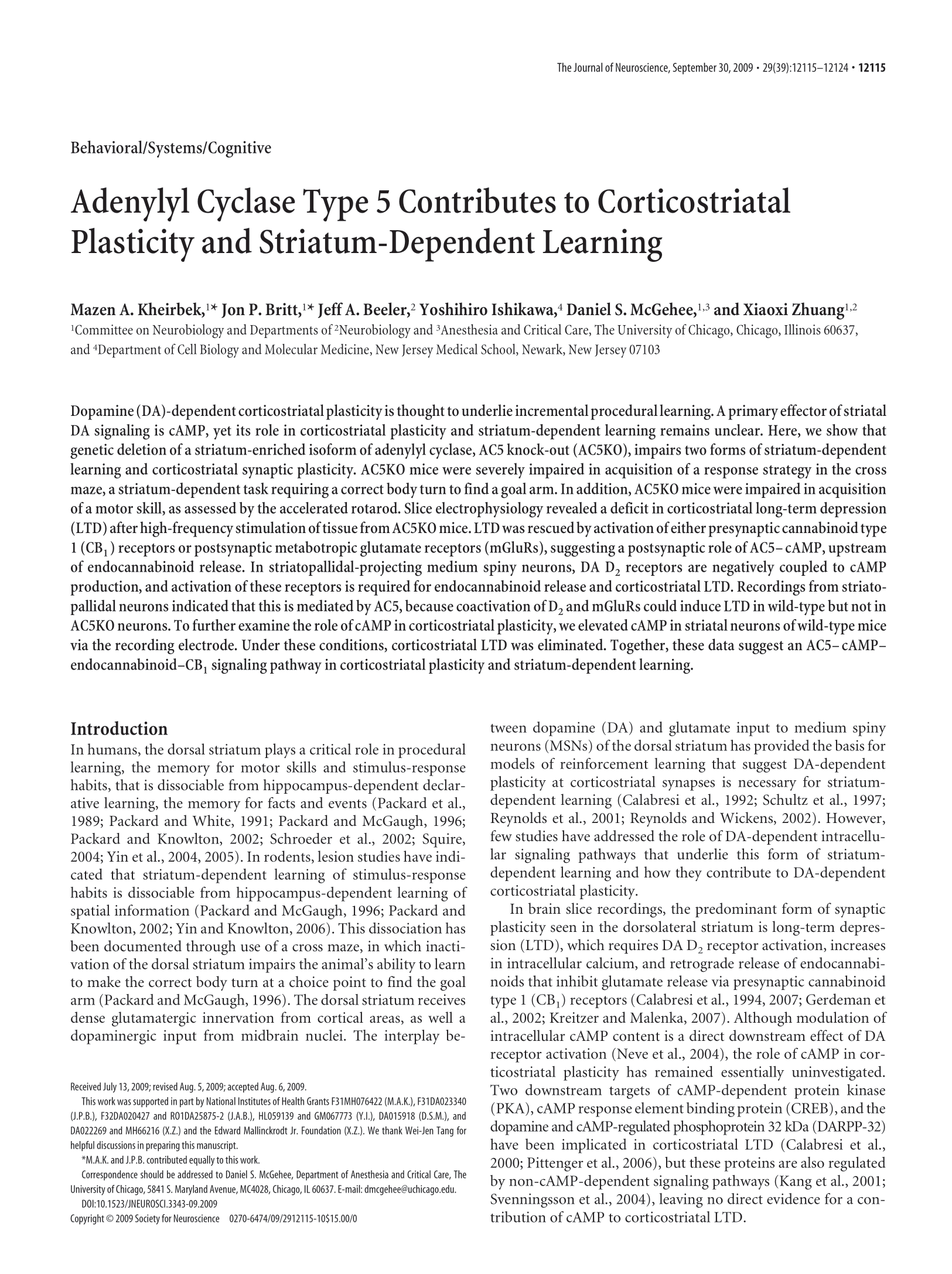 Adenylyl cyclase type V contributes to corticostriatal plasticity and striatum dependent motor learning