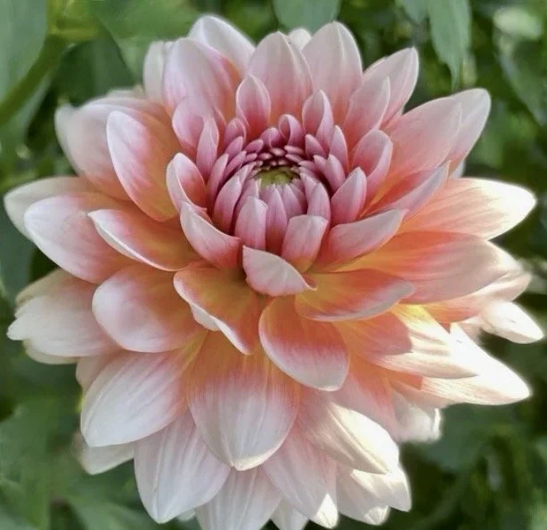 Image 2-19-26 at 9.33 PM.jpeg