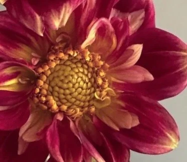 Image 2-20-26 at 10.54 AM.jpeg