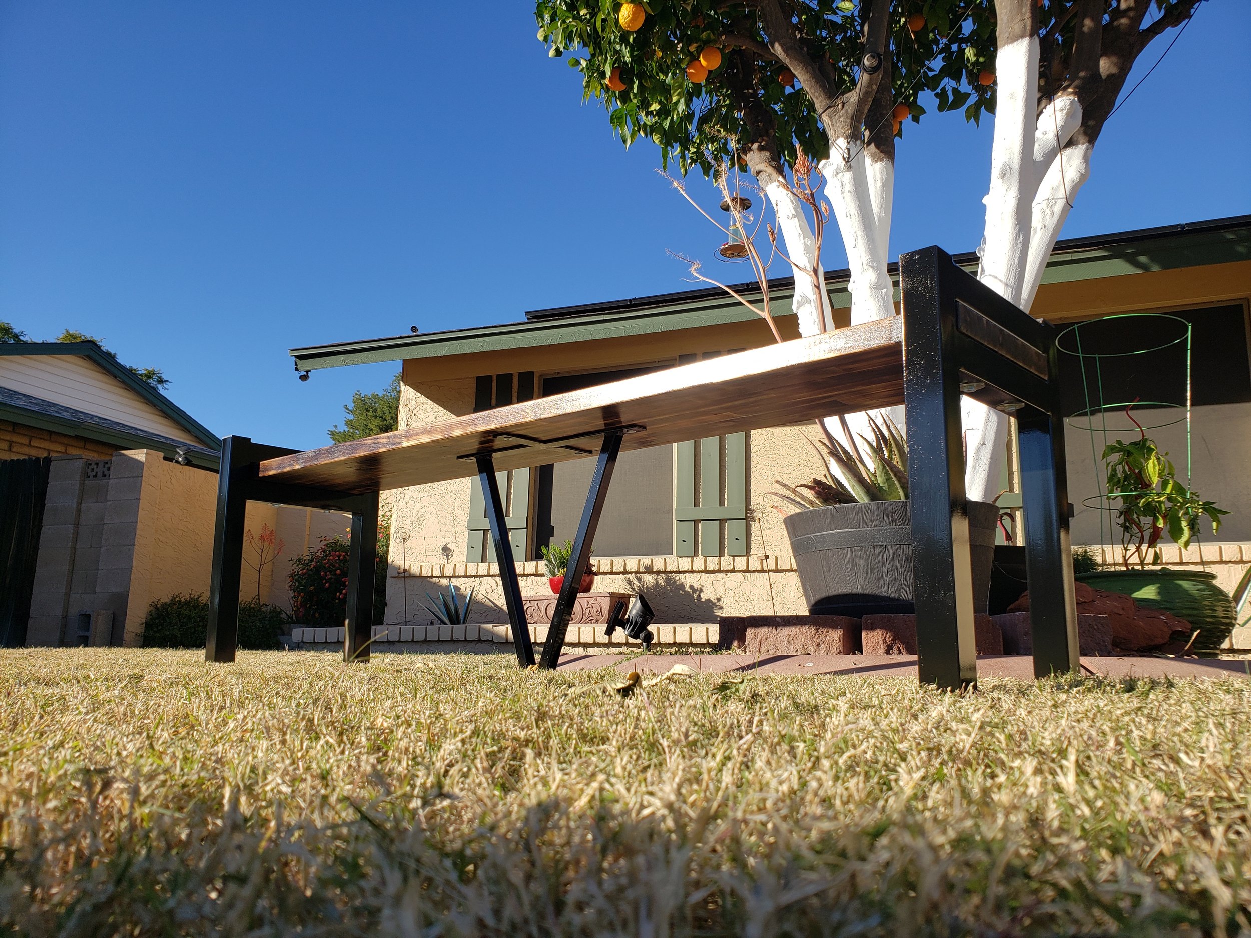 Bench Under View.jpg