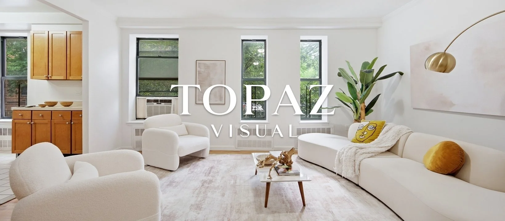 Topaz Visual FB cover new2.jpg