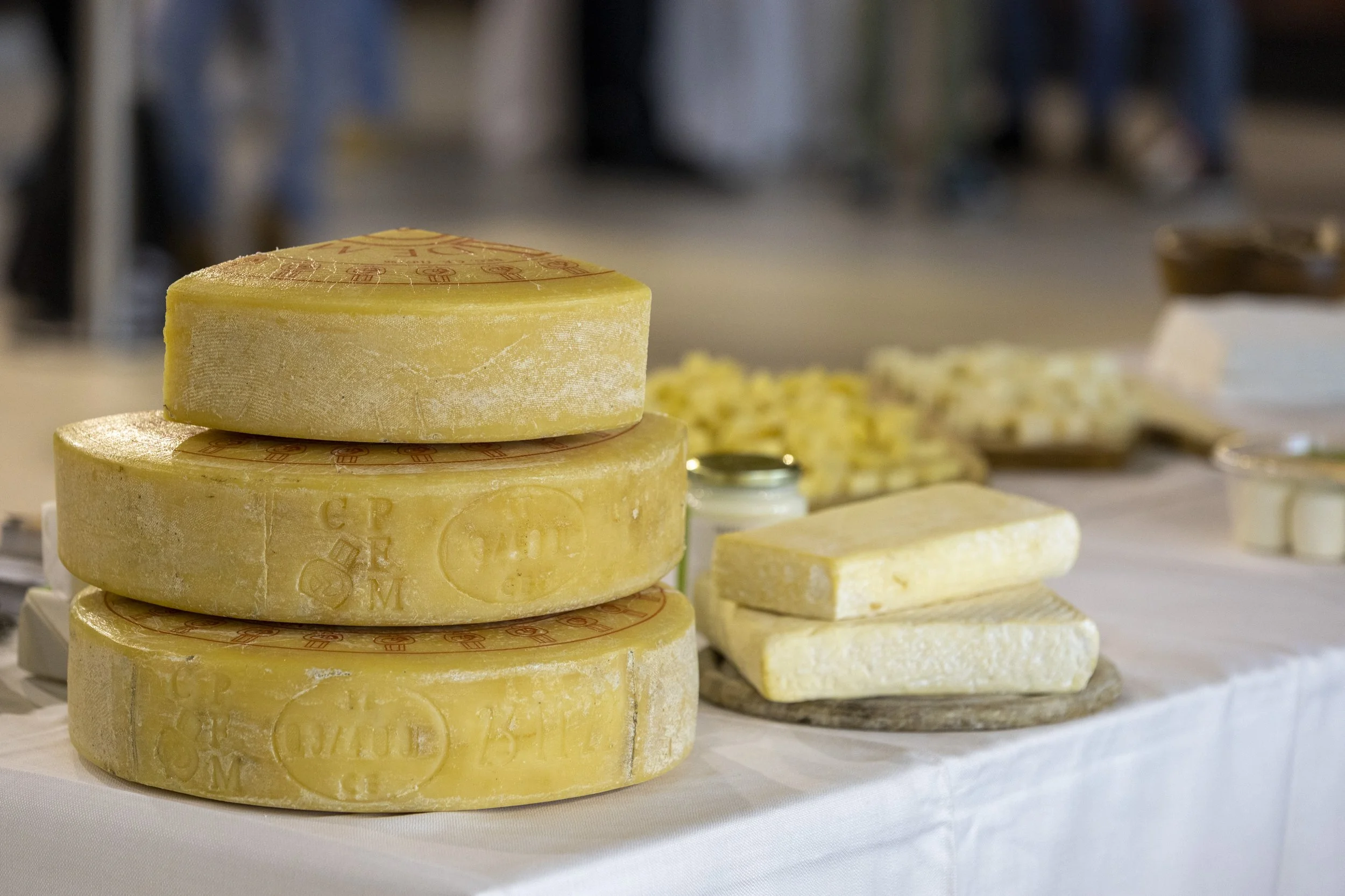 FOOD AND BEVERAGE_VINO EN PRIMEUR_Vino-en-Primeur-Bergamo-2023-Alessia-Zampariolo_J9A1435.jpg