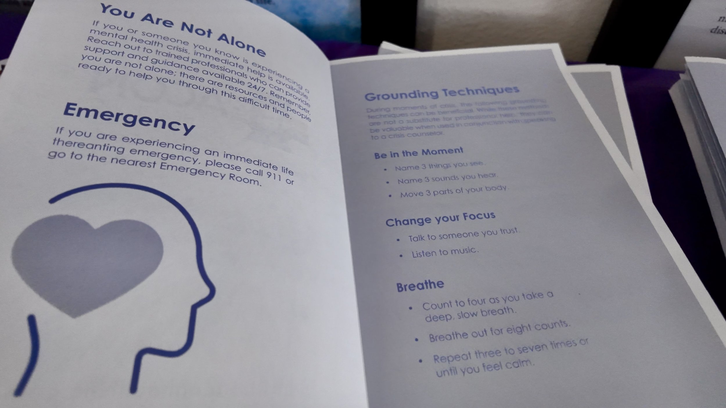 Screenshot 2024-11-13 at 4.47.35 PM.JPG