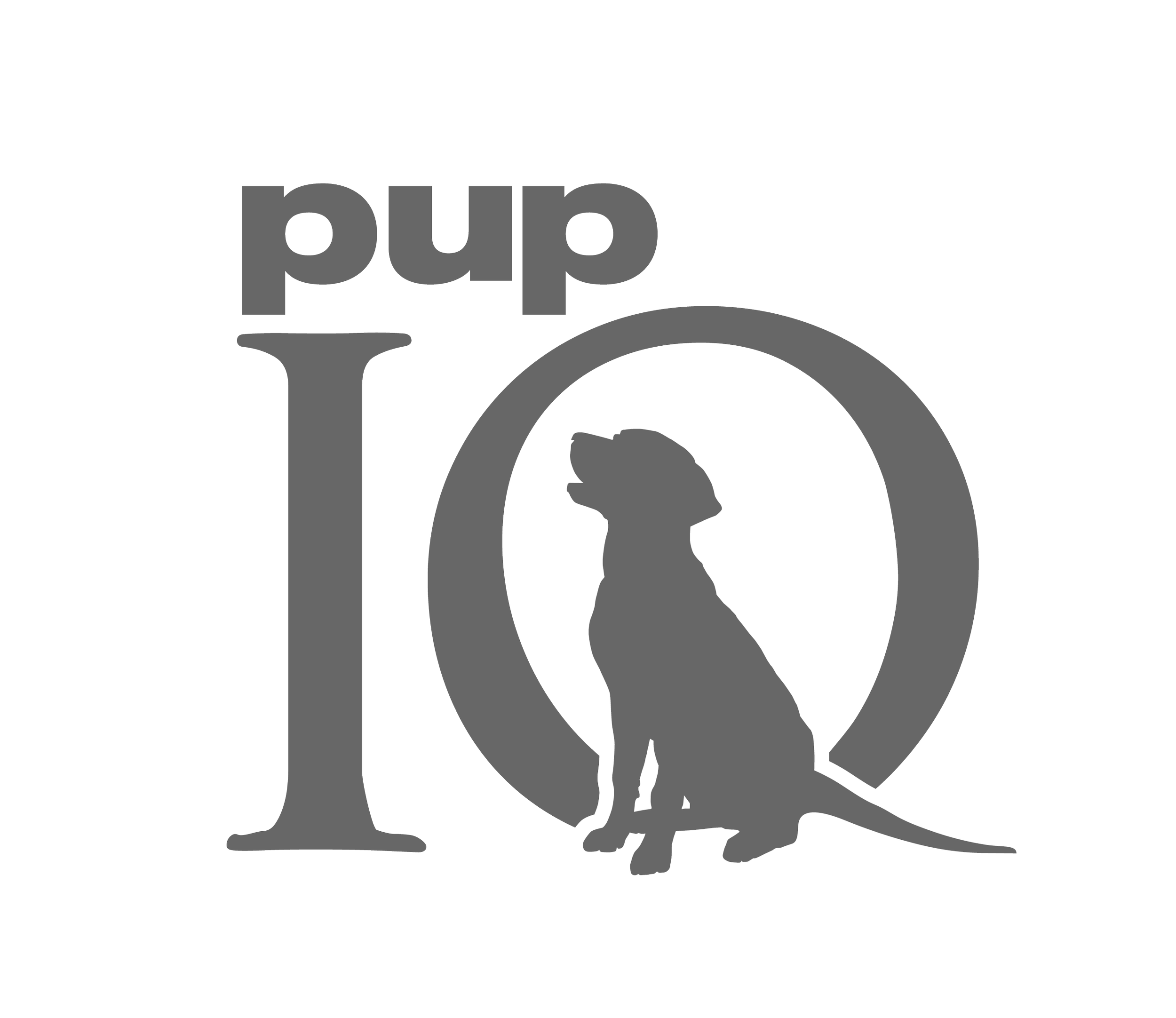 BR_PUPiQ_Logo_Final01.png