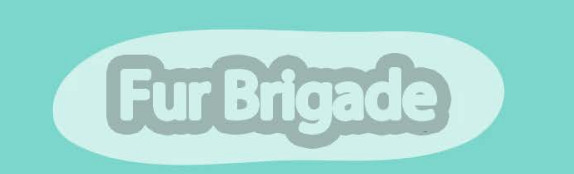 Design - Google Drive.png