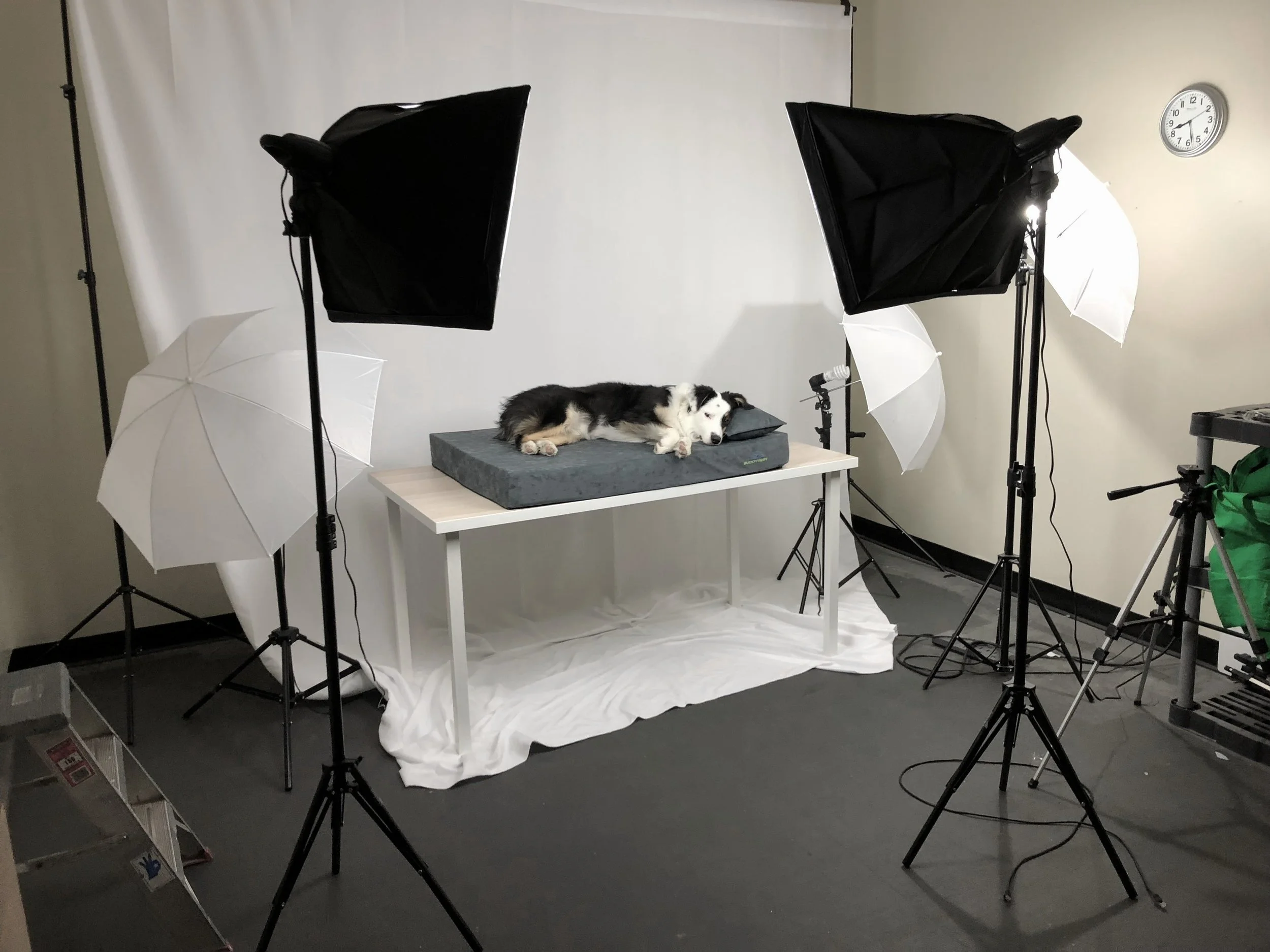 Why Good Product Photography is a Must for eCommerce Success