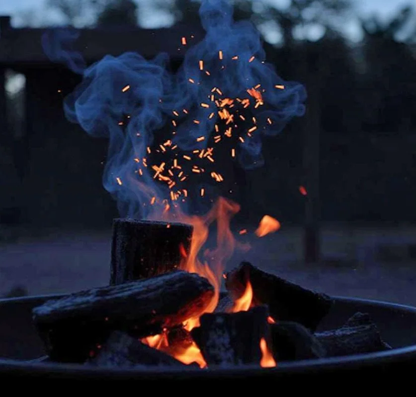 Why does some lump charcoal spark? 

The science behind the sparks and is it true that cheaper charcoal sparks more?

https://www.smokefiregrill.ca/blog/why-some-lump-charcoal-sparks

#charcoal #sparks #hardwoodlumpcharcoal #bbqtips #charcoalgrilling