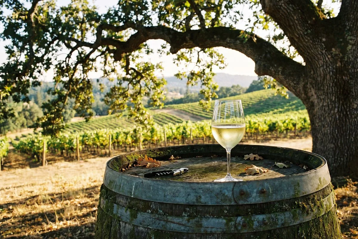Why Cooking with Oak Wood is the Secret to Perfect Wine &amp; BBQ Pairings