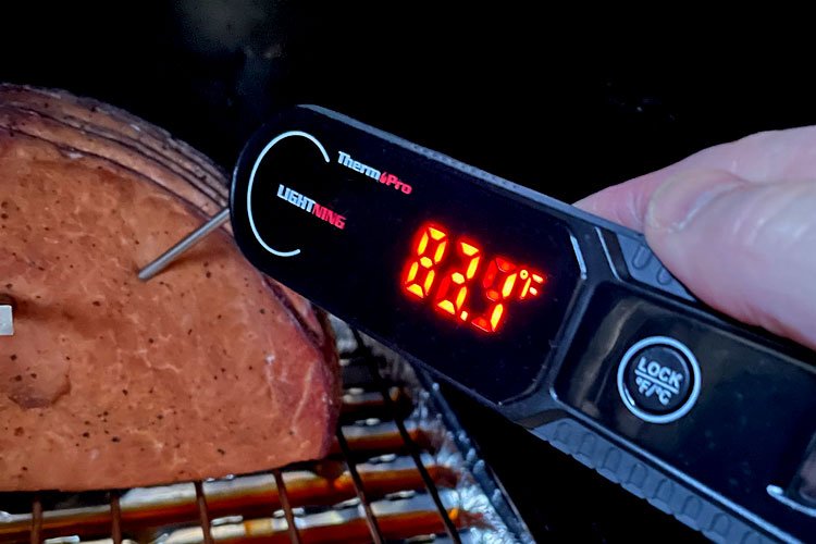 ThermoPro Lightning Meat Thermometer Review - Thermo Meat
