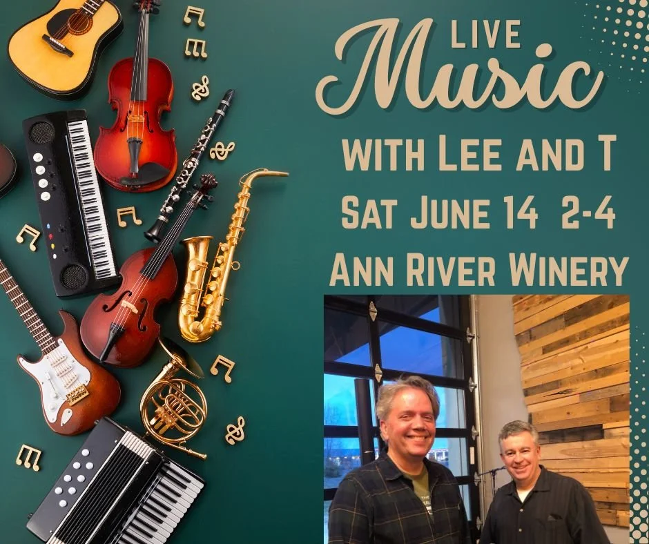 Live Music with Lee and T