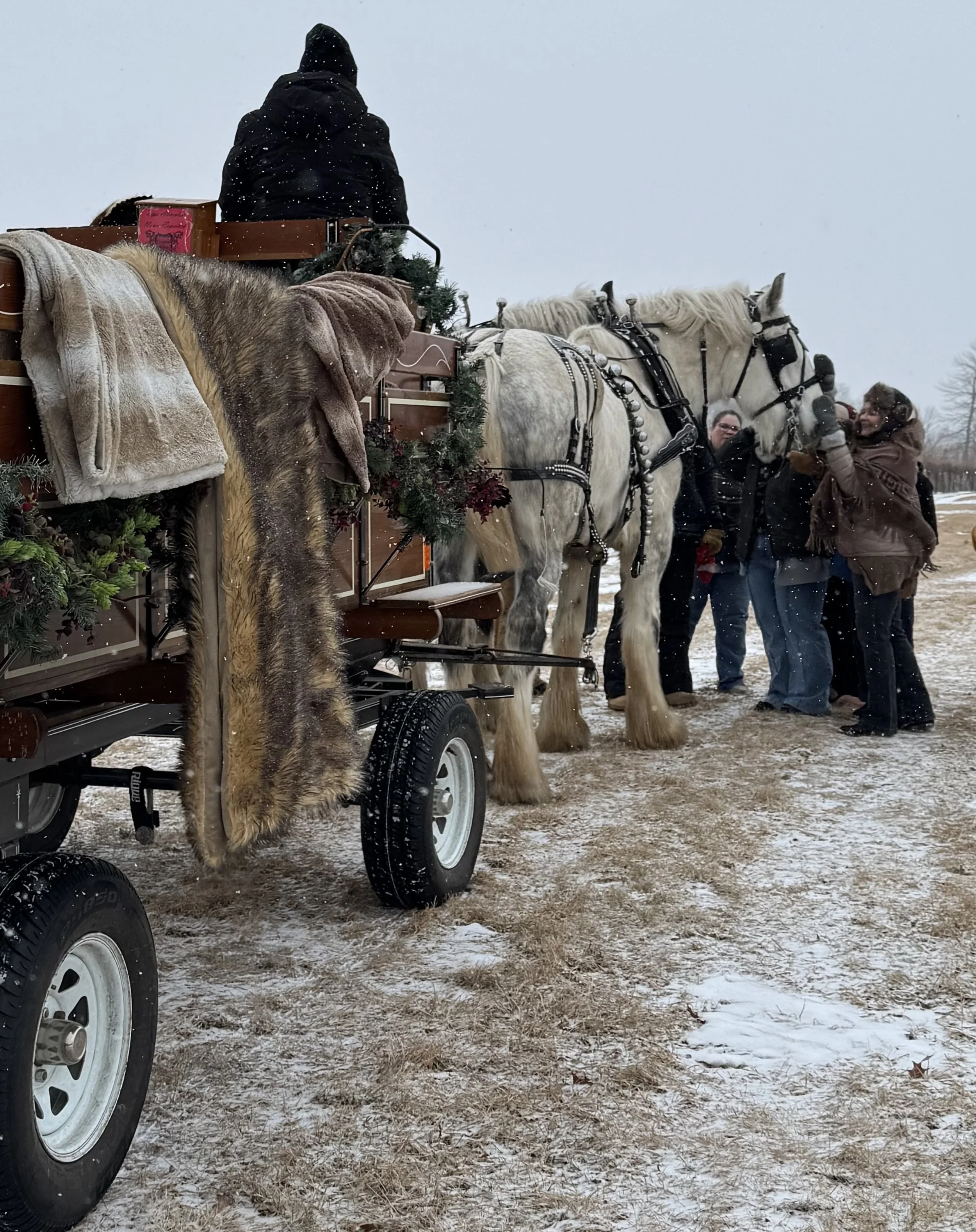 Winter Horse Rides
