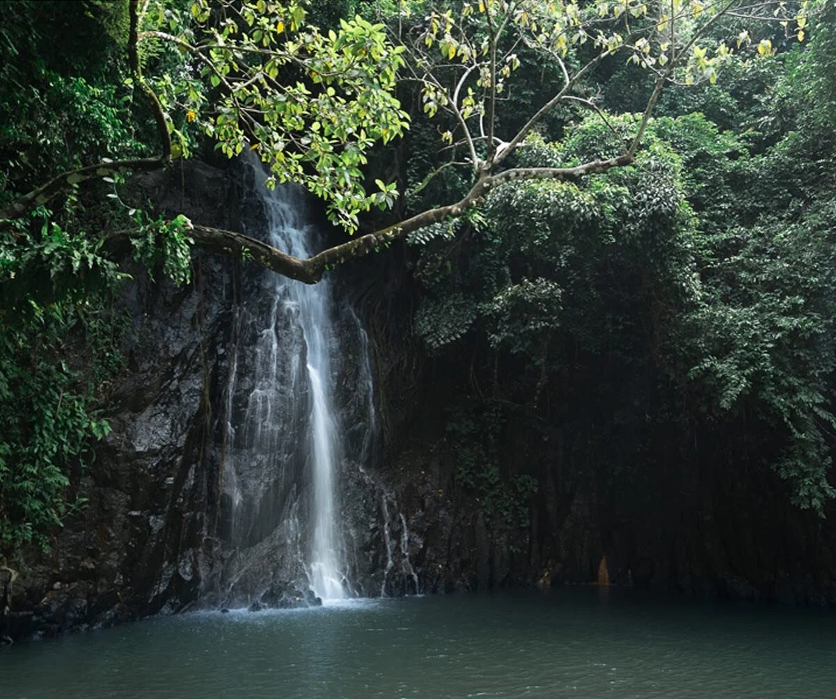 📸 Famous location alert: Taktak Falls, Siargao 🌴💦💦💦

Surrounded by lush greenery and pristine natural beauty, this enchanting waterfall is a sight to behold. 

For local tours and transport here, contact Siargao Island's friendliest hospitality 
