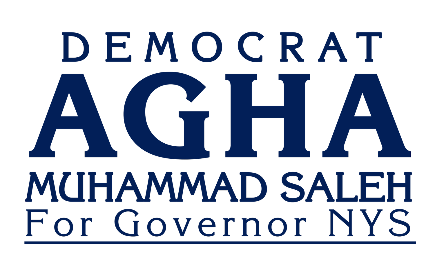 Agha Saleh for Governor of New York State