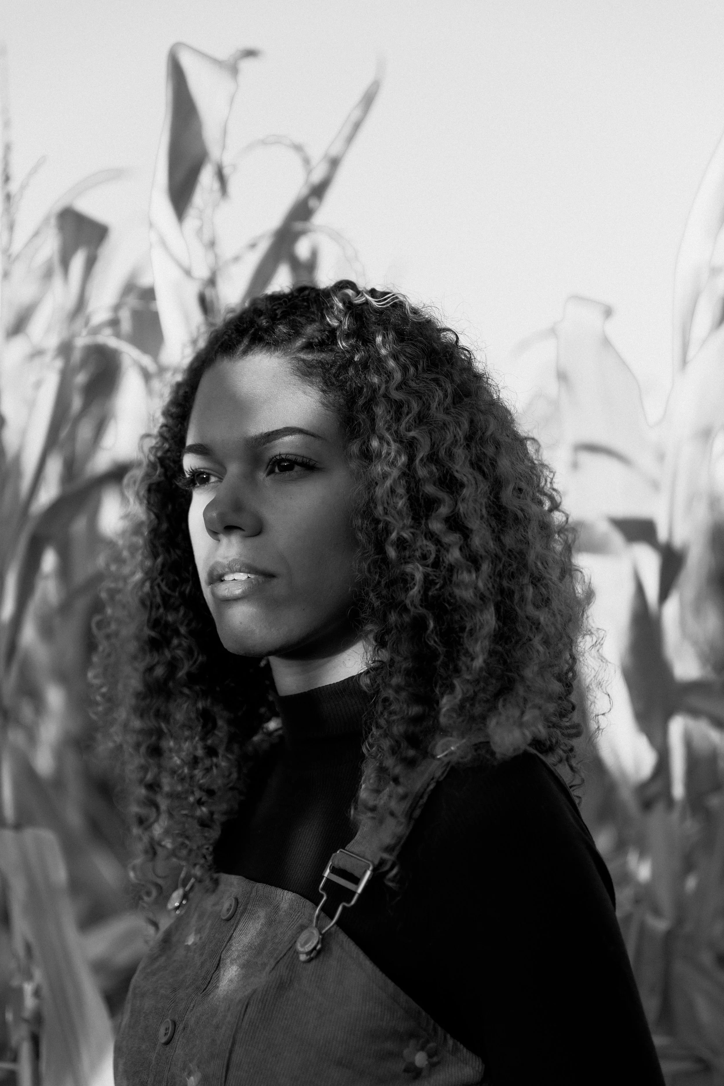 Pumpkin Patch full size b&w-01.jpg