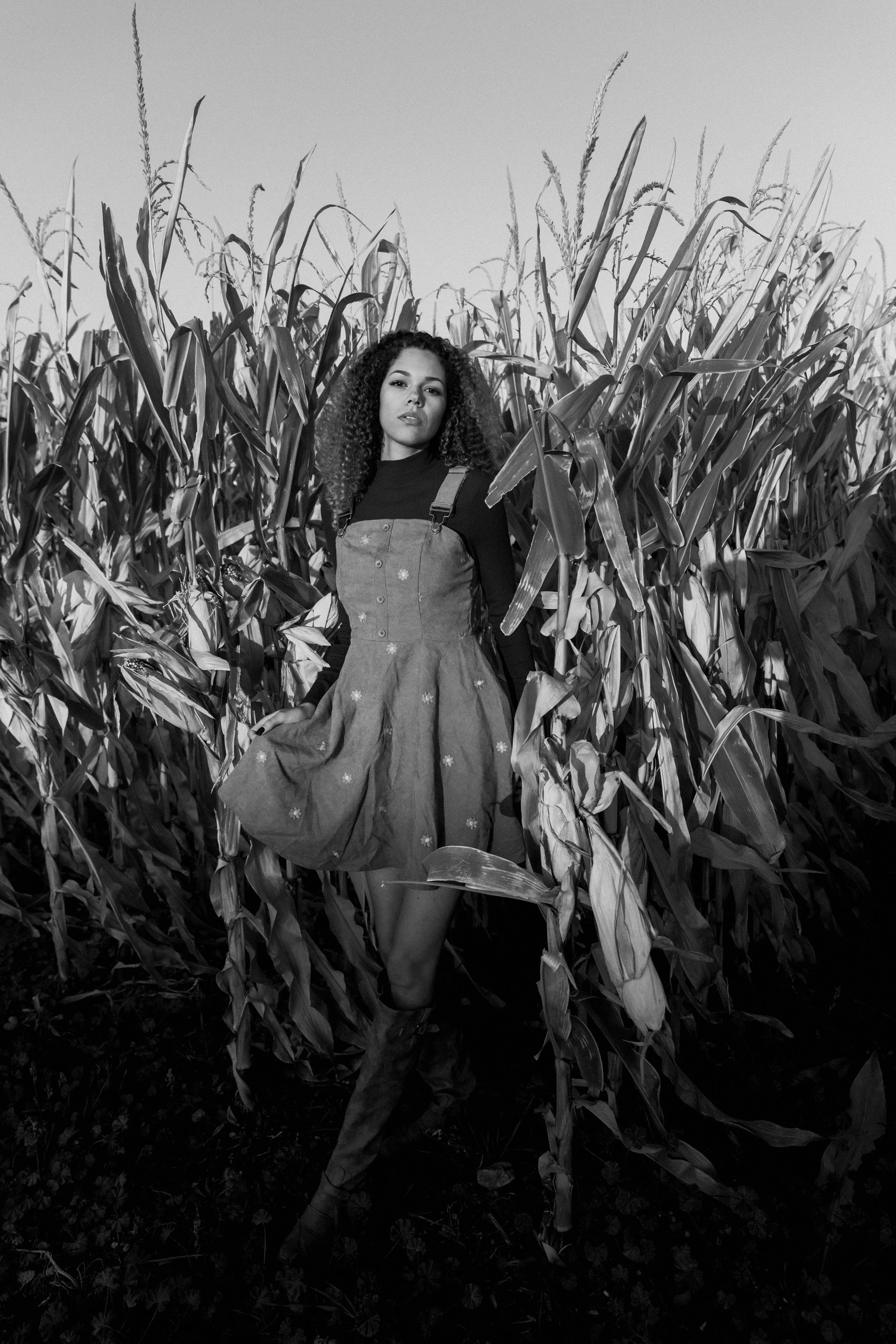 Pumpkin Patch full size b&w-12.jpg