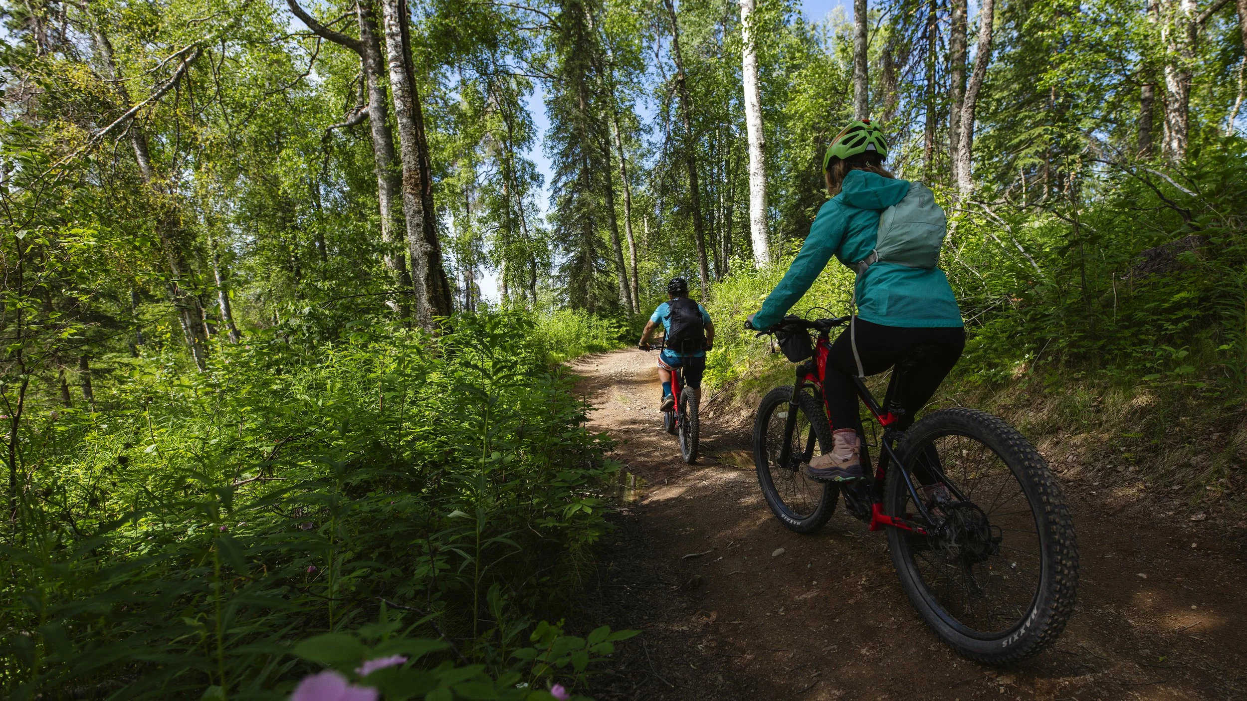 Mountain biking on Talkeetna's Ridge Trail