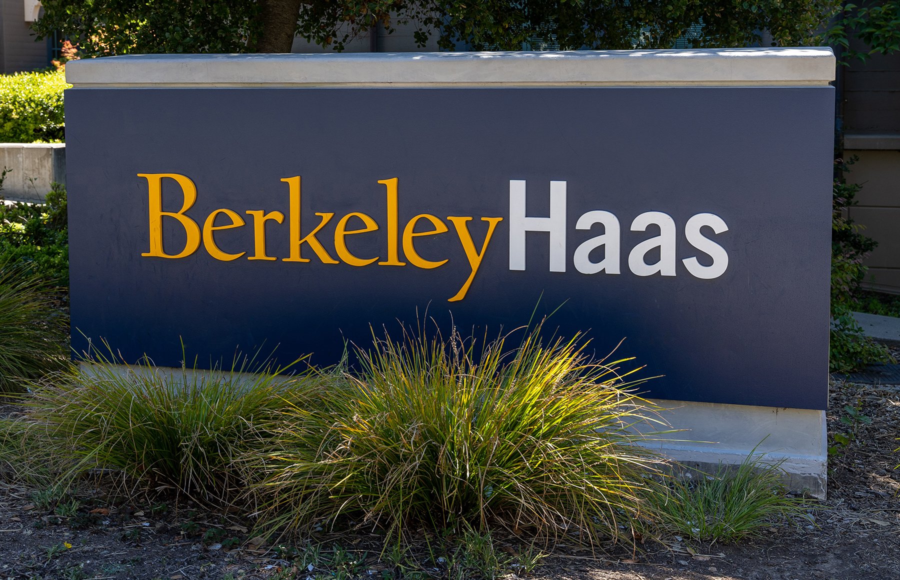 Haas School of Business expands, renames undergraduate business program
