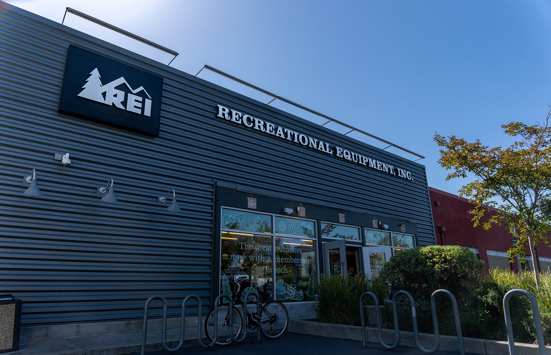 'Fighting for more accountability': Berkeley REI workers seek union representation